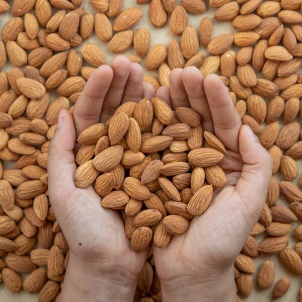 Almond (Regular)
